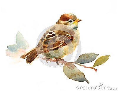 Baby Sparrow Watercolor Bird Sitting on a branch with Leaves Illustration Hand Drawn isolated on white background Cartoon Illustration