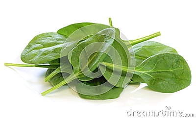 Baby Spinach Stock Photo