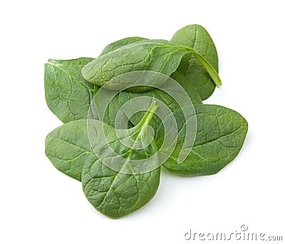 Baby Spinach Stock Photo