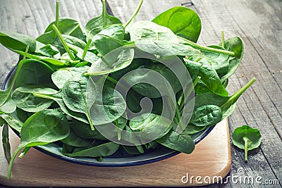 Baby Spinach Stock Photo
