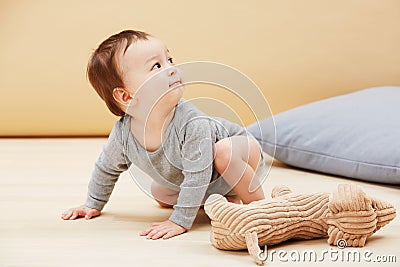 Baby, stuffed animal and playing in home for youth care, childhood development or game entertainment. Kid, toy teddy and Stock Photo