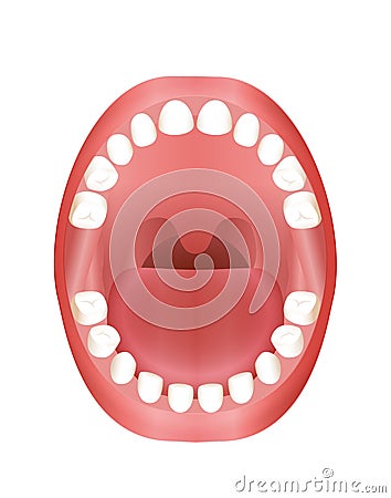 Baby Teeth Teething Children Mouth Vector Illustration