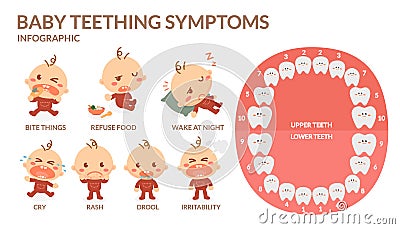 Baby teething symptoms. Rash, Drool, Irritability, Refuse food , Bite, Cry, Wake at night. Stock Photo