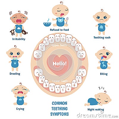 Baby teething symptoms Vector Illustration