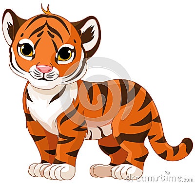 Baby Tiger Vector Illustration