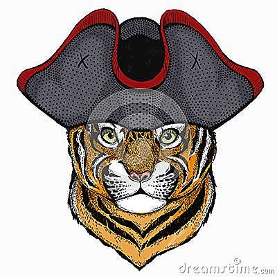 Baby tiger, small little tiger for children. Animal wearing pirate headdress. Sailor portrait. Vector Illustration