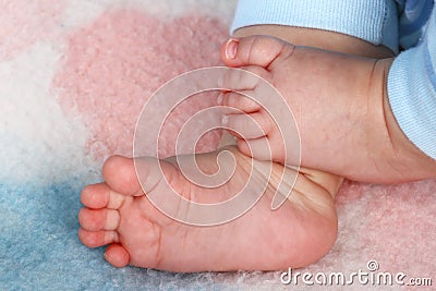 Baby toes Stock Photo