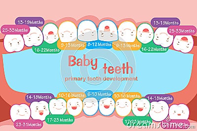 Baby tooth chart Stock Photo