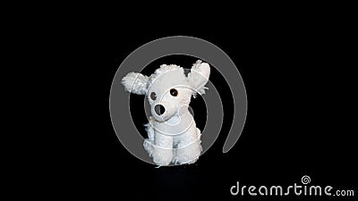 Baby stuffed toy, white little dog on black background Stock Photo