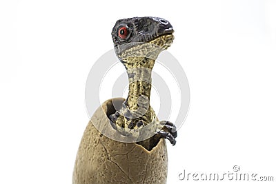 Baby velociraptor out of the egg Stock Photo