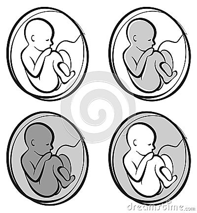 Baby in the womb Vector Illustration