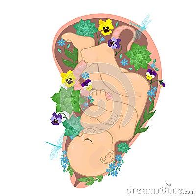 Baby in the womb with flowers. Vector graphics Stock Photo
