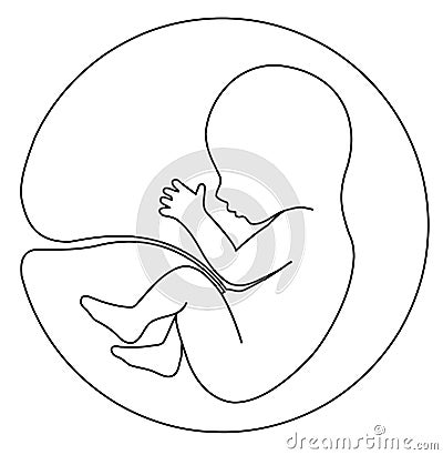 Baby in womb Vector Illustration