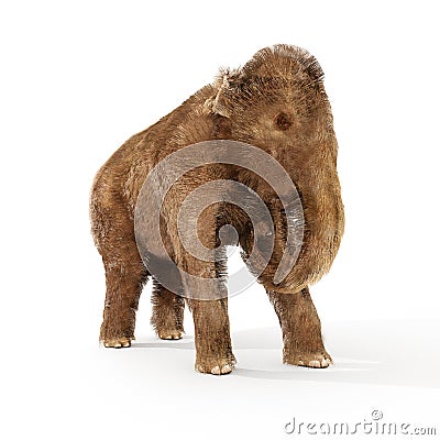 Baby Woolly Mammoth Illustration Cartoon Illustration