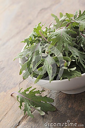 Baby young kale leaf salad Stock Photo