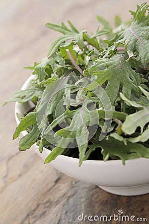 Baby young kale leaf salad Stock Photo