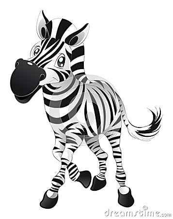 Baby Zebra Vector Illustration