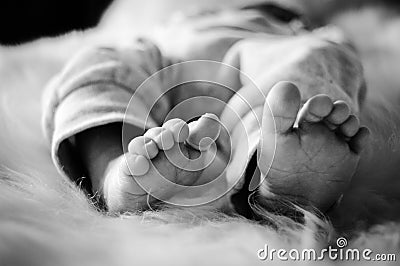 Babyfeet. Stock Photo