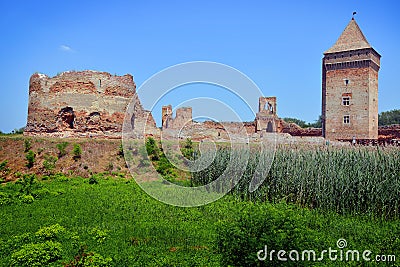 Ruins of old medieval fortress Bac, Serbia Editorial Stock Photo