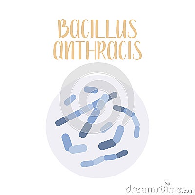 Bacillus Anthracis, pathogen. Rod-shaped, gram-positive bacteria. Morphology. Microbiology. Vector Illustration