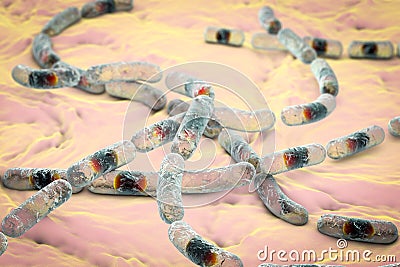 Bacillus cereus bacteria Cartoon Illustration