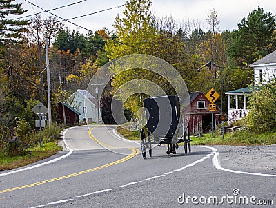 The back of an Amish Carriage in Upper New York State during Autumn Editorial Stock Photo