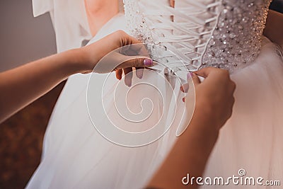 The back of the bride in a wedding dress Stock Photo