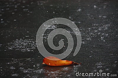 Back-focused shot of the raindrops on the granite floor with a dry leaf in the front. Stock Photo