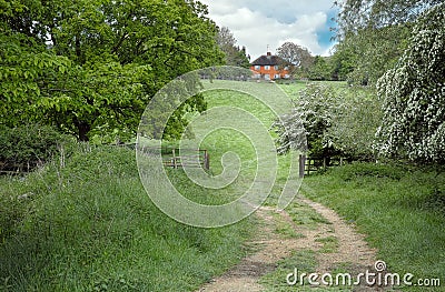 Back garden Stock Photo