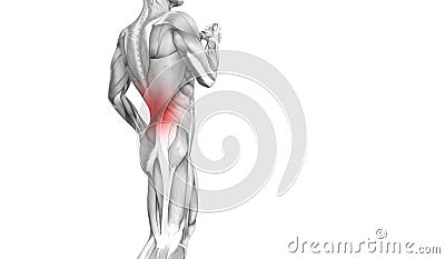 Back human anatomy hot spot inflammation articular joint pain or spine health care therapy or sport muscle con Cartoon Illustration