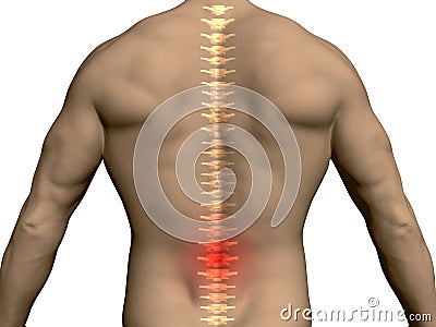 Back of a man with a translucent spine and a red area in the lumbar region. 3D. Vector illustration Vector Illustration