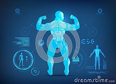 Back muscles Vector Illustration