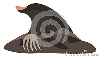 Clipart of the mammal mole vector or color illustration Vector Illustration