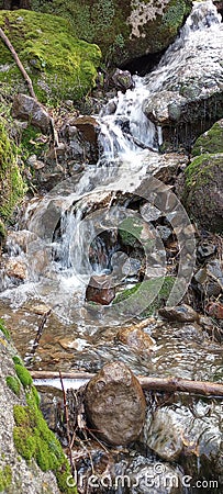 Back raod stream green rocks Stock Photo