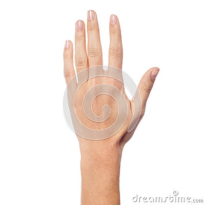 Back side of a woman hand Stock Photo