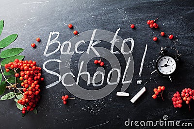 Back to school background on chalkboard and alarm clock. Stock Photo