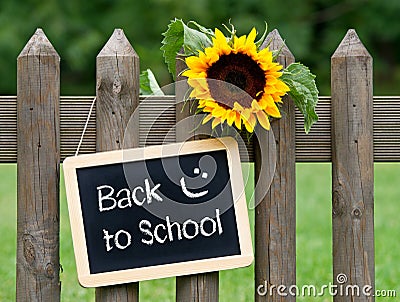 Back to School Chalkboard with Sunflower Stock Photo