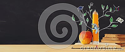 Back to school concept. tree of knowledge sketch and pencils over open book in front of classroom blackboard. Stock Photo