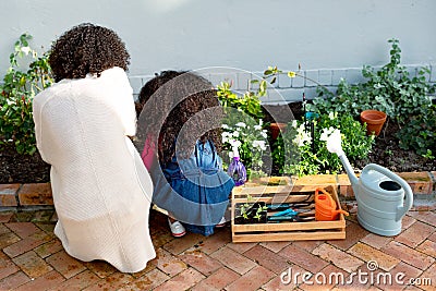Back view of african american mother and daughter planting flowers Stock Photo