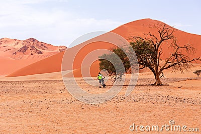 Back view of cyclist on his bicycle next to a camel thorn tree in a desert landscape Stock Photo