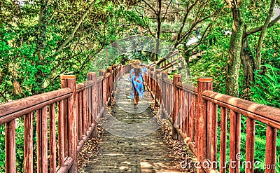 back view of female tourist walking on path in the forest Editorial Stock Photo