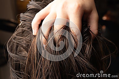 Back view of girl`s hairstyling in the barbershop Stock Photo