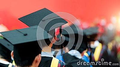 Back view of graduates Stock Photo