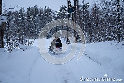 Back view of human driving snowmobile in forest Stock Photo