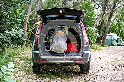 Back view of opened car trunk packed full of luggage bags in nature camp d Stock Photo