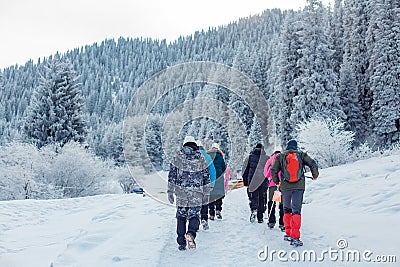 Back view of persons walking in beautiful winter mountain forest Stock Photo