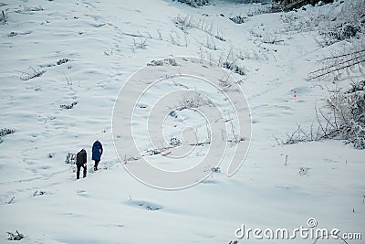 Back view of persons walking in beautiful winter mountain forest Stock Photo