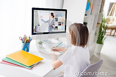 Back view photo portrait little girl watching online lesson on desktop writing notes in copybook Stock Photo