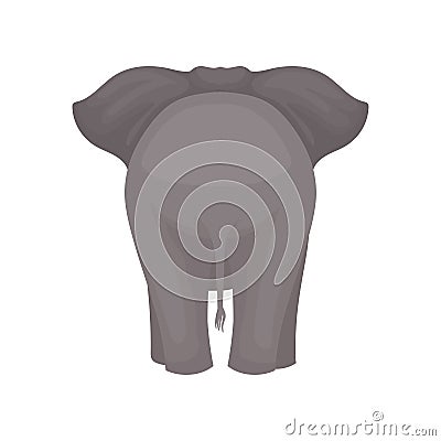 Back view of standing elephant. Wild mammal animal with gray skin, large ears and long tail. Flat vector design Vector Illustration