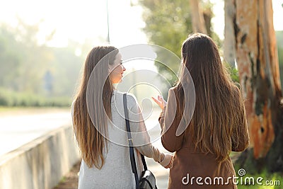 Back view of two women walking and talking in a park Stock Photo